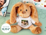Hase mit Foto  im aktuellen dm-drogerie markt Prospekt für 10,95 €