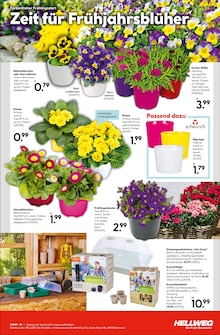 Pflanzen im Hellweg Prospekt "Innenausbau leicht gemacht" mit 16 Seiten (Chemnitz)