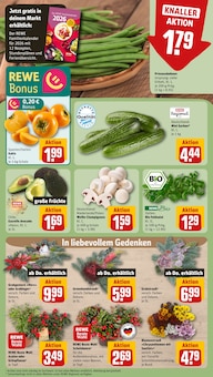 Salat im aktuellen REWE Prospekt (Nürnberg) Salat im REWE Prospekt "Dein Markt" mit 22 Seiten (Nürnberg)