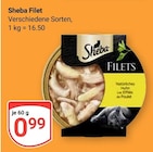 Aktuelle Katzenfutter Angebote bei GLOBUS in Erfurt Aktuelles Filet Angebot bei GLOBUS in Erfurt ab 0,99 €