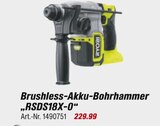 toom Baumarkt Göritz - Brushless-Akku-Bohrhammer „RSDS18X-0“ Angebot im Prospekt Brushless-Akku-Bohrhammer „RSDS18X-0“ bei toom Baumarkt im Göritz Prospekt für 229,99 €