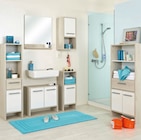 Midischrank im Angebot bei Express in Siegen Midischrank Angebote von CARRYHOME bei Express Siegen für 32,90 €