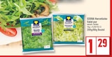 Rucola oder Eisbergsalat bei EDEKA im Potsdam Prospekt für 1,29 €