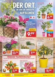 Garten Angebot & Preis im aktuellen Netto Marken-Discount Prospekt Garten Angebot im aktuellen Netto Marken-Discount Prospekt auf Seite 12