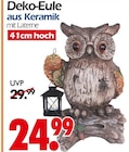Wreesmann Dommitzsch Prospekt mit  im Angebot für 24,99 €