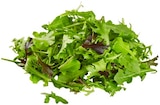 Aktuelles Bio Crispy Salatmix Angebot bei REWE in Bergisch Gladbach ab 1,19 €