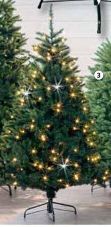 Weihnachtsbaum 'Bristlecone' Angebot in Ismaning im aktuellen Prospekt bei BAUHAUS in Ismaning