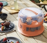 Torten-Glocke Angebote von rotho bei buss Aurich für 23,99 €