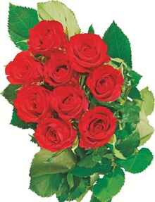 9 roses - Carrefour Market à Lille 9 roses en promo chez Carrefour Market Lille à 6,99 €