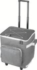 Einkaufstrolley mit Kühlfunktion von TOPMOVE für 19,99 € bei Lidl im Angebot Einkaufstrolley mit Kühlfunktion von TOPMOVE im aktuellen Lidl Prospekt