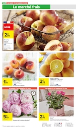 Prix et réduction Rosier dans le prospectus Carrefour Market en cours Offre Rosier dans le catalogue Carrefour Market du moment à la page 28