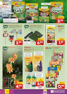 Tulpen im aktuellen Netto Marken-Discount Prospekt (Paderborn) Tulpen im Netto Marken-Discount Prospekt "Aktuelle Angebote" mit 71 Seiten (Paderborn)