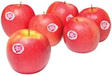 Rote Tafeläpfel »Cripps Pink« bei REWE im Angebot Rote Tafeläpfel »Cripps Pink« im aktuellen REWE Prospekt
