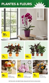Promos Orchidée dans le catalogue "LE MOIS DES SUPPORTERS" de Carrefour Orchidée en promo dans le catalogue Carrefour à la page 32