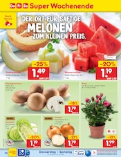 Champignons im Netto Marken-Discount Prospekt in Chemnitz Aktueller Netto Marken-Discount Prospekt mit Champignons, "Aktuelle Angebote", Seite 60