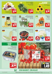Pflanzen im Marktkauf Prospekt in Leipzig Aktueller Marktkauf Prospekt mit Pflanzen, "AUSWAHL RIESIG, PREISE NIEDRIG", Seite 15