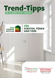 Dethlefsen Baustoffe Prospekt für Neumünster: "Trend-Tipps FÜR DIE ENERGETISCHE SANIERUNG", 9 Seiten, 20.09.2024 - 29.09.2024