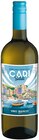 Vino Bianco D’Italia von Cari Saluti im aktuellen Netto mit dem Scottie Prospekt für 1,99 €
