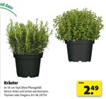 Kräuter bei Hagebaumarkt im Ditzingen Prospekt für 2,49 €