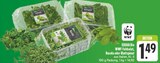 Feldsalat, Rucola oder Blattspinat im Angebot bei EDEKA in Erlangen Feldsalat, Rucola oder Blattspinat Angebote von EDEKA Bio WWF bei EDEKA Erlangen für 1,49 €