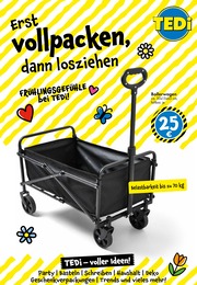 Bollerwagen Angebot im aktuellen TEDi Prospekt auf Seite 27