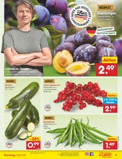 Bohnen im Netto Marken-Discount Prospekt in Dresden Aktueller Netto Marken-Discount Prospekt mit Bohnen, "Aktuelle Angebote", Seite 37