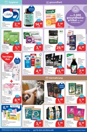 Aktueller budni Prospekt mit Hundefutter, "drogeriemarkt", Seite 5