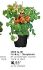 Pick&Joy Cherrytomate von GROW by OBI im aktuellen OBI Prospekt für 10,99 €