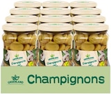 Penny - Champignons Angebot im Prospekt Champignons bei Penny im Prospekt "" für 9,90 €