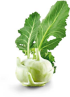 Kohlrabi im Angebot bei Netto Marken-Discount in Solingen Kohlrabi Angebote von Heimat bei Netto Marken-Discount Solingen für 1,00 €