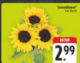 Sonnenblumen Angebote bei E center Dresden für 2,99 €