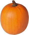Aktuelles Halloween Kürbis Angebot bei REWE in Pforzheim ab 4,44 €