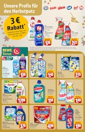 REWE Geschirrspüler im Prospekt 