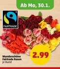 Penny-Markt - Wunderschöne Rosen Angebot im Prospekt Wunderschöne Rosen bei Penny-Markt im Prospekt "" für 2,99 €