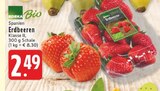 Erdbeeren Angebote von EDEKA Bio bei EDEKA Ahaus für 2,49 €