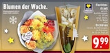 EDEKA Stolberg - Floristenstrauß Angebot im Prospekt Floristenstrauß bei EDEKA im Stolberg Prospekt für 9,99 €