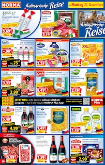 Schweinefleisch im Norma Prospekt "Mehr fürs Geld" mit 20 Seiten (Leipzig)