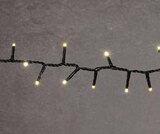 Globus-Baumarkt Rüsselsheim - LED Lichterkette „Premium“ Angebot im Prospekt LED Lichterkette „Premium“ bei Globus-Baumarkt im Rüsselsheim Prospekt für 15,99 €