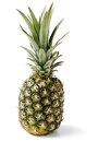 Ananas für 1,49 € bei Lidl im Angebot Ananas im aktuellen Lidl Prospekt