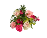 Strauß Pastell  im aktuellen Lidl Prospekt für 5,99 €