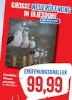 Metallbild Möwen auf Poller Angebote bei Kaufhaus Stolz Greifswald für 99,99 €