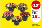 Promo Composition roses et feuillage 33 cm à 16,99 € dans le catalogue Bi1 à Château-Chinon(Ville)