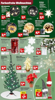 Weihnachtsdeko im Thomas Philipps Prospekt "Top Angebote" mit 23 Seiten (Magdeburg)