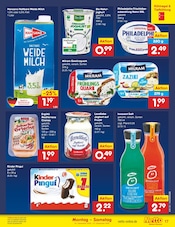 Joghurt im Netto Marken-Discount Prospekt in Goslar Aktueller Netto Marken-Discount Prospekt mit Joghurt, "Aktuelle Angebote", Seite 17