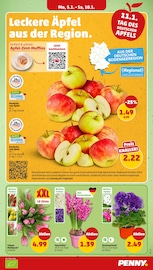 Blumen im Penny Prospekt in Göppingen Aktueller Penny Prospekt mit Blumen, "Wer günstig will, muss Penny.", Seite 3