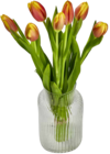 Tulpenstrauß Angebote von Gut & Günstig bei E center Villingen-Schwenningen für 1,99 €