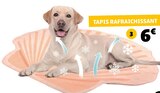 Tapis Rafraîchissant - Gifi à Villeneuve-d'Ascq Tapis Rafraîchissant en promo chez Gifi Villeneuve-d'Ascq à 6,00 €