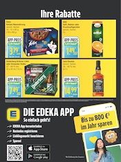 Ähnliche Eierlikör Angebote im Prospekt "Top Angebote" von EDEKA in Neumünster Ähnliche Angebote wie Eierlikör im Prospekt "Top Angebote" auf Seite 6 von EDEKA in Neumünster