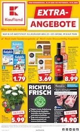 Kaufland Prospekt für Northeim: "EXTRA-ANGEBOTE", 8 Seiten, 25.09.2025 - 01.10.2025