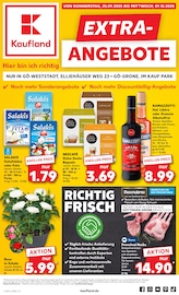 Aktueller Kaufland Supermarkt Prospekt in Gieboldehausen und Umgebung, "EXTRA-ANGEBOTE" mit 8 Seiten, 25.09.2025 - 01.10.2025